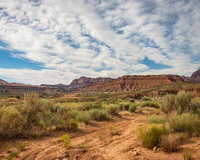A trail on the Hurricane Cliffs